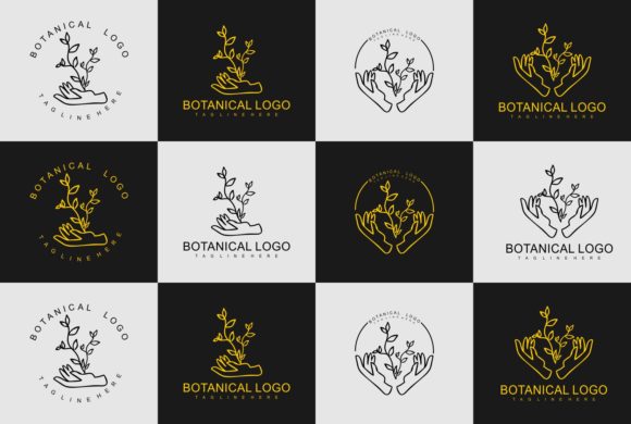 Exploring the Versatility of Latest Minimal Botanical Simple Logo and Watercolor Illustrations