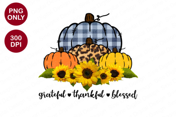 Grateful Thankful Blessed Quotes